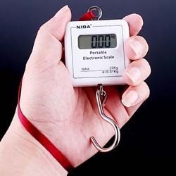 2Kg /0.1g Digital Electronic Balance Weight Scale