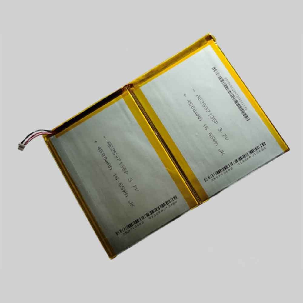 AE2597135P battery