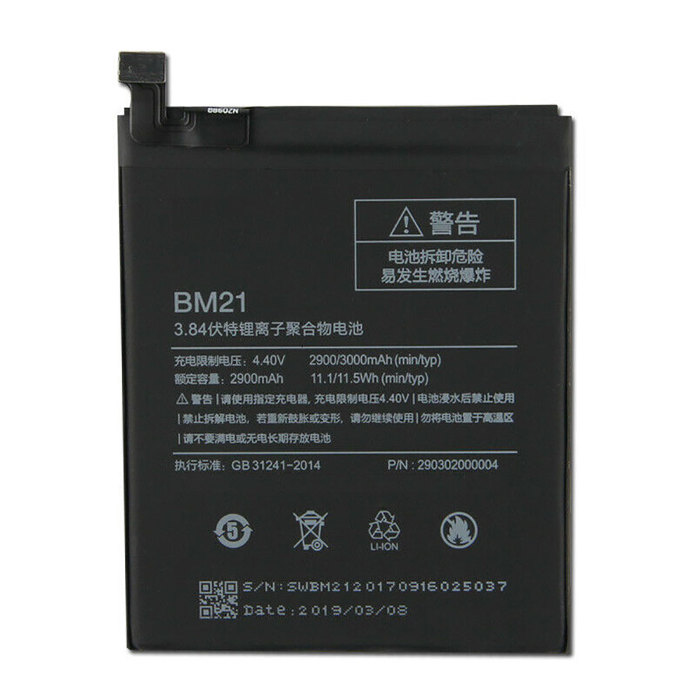 BM21 battery