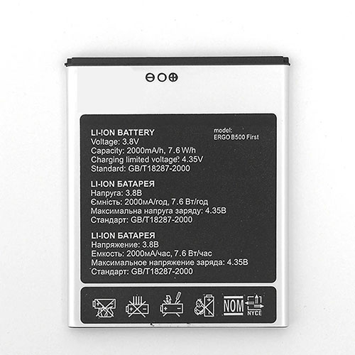 ERGO B500 batteries