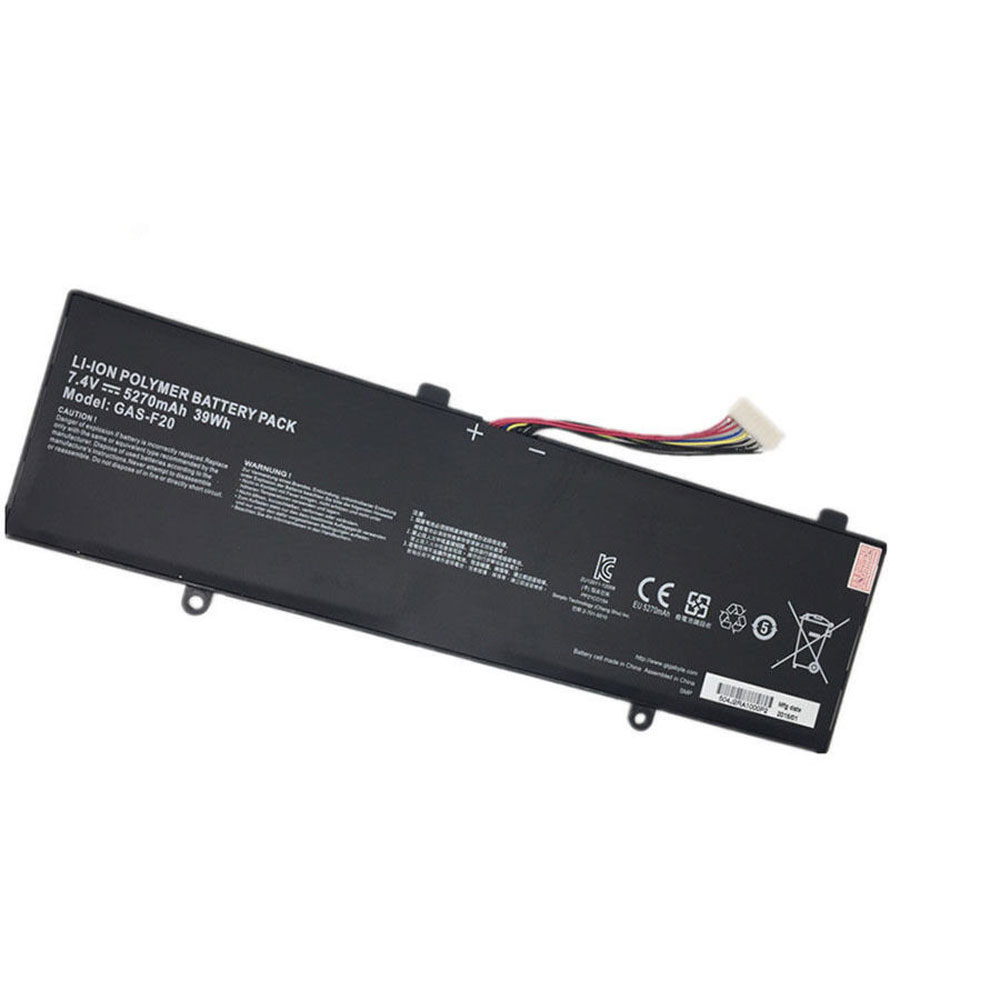 GAS-F20 battery