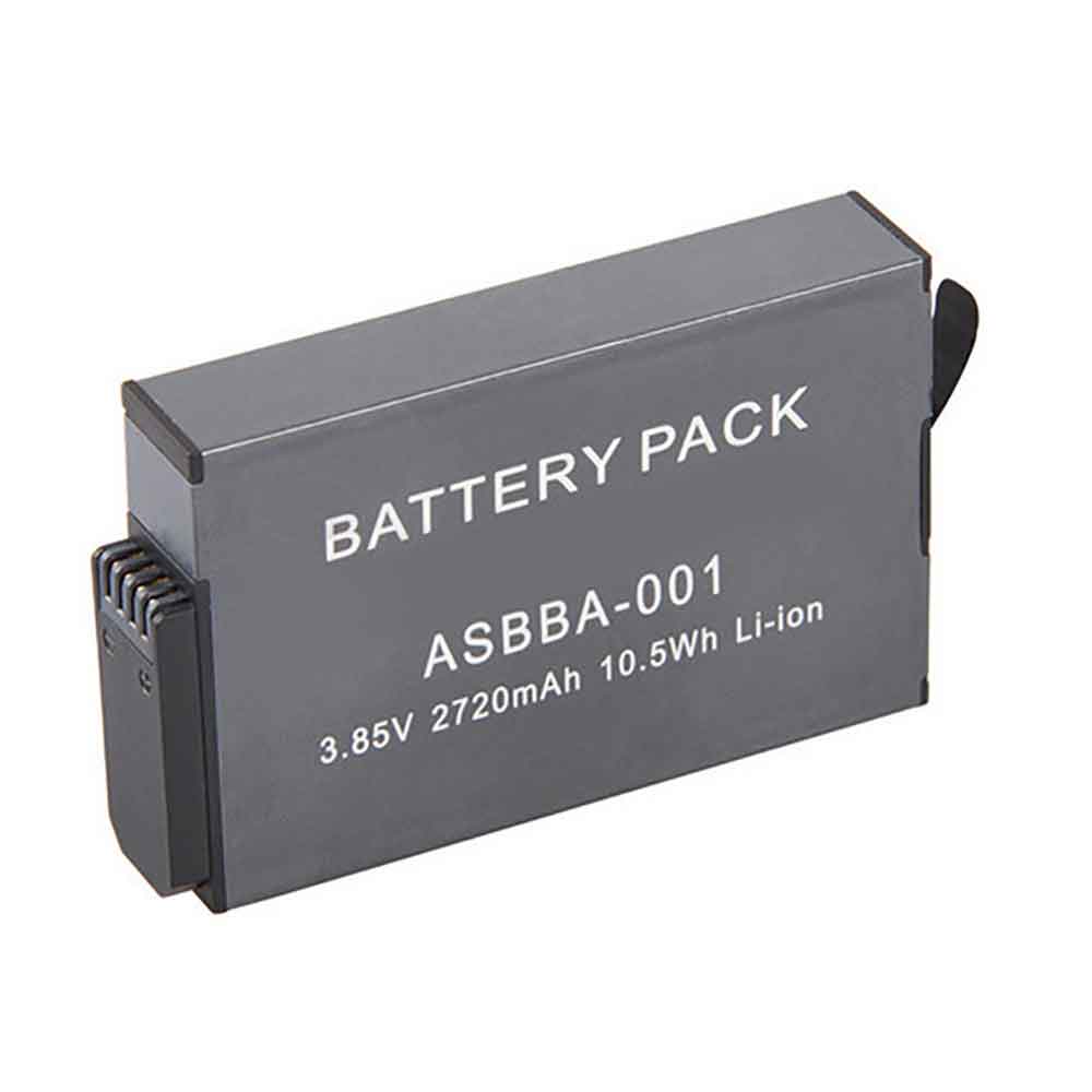 GoPro ASBBA-001 batteries