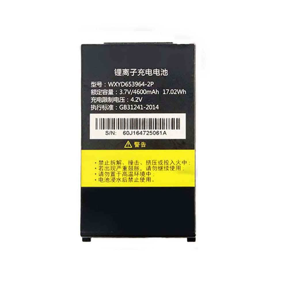 iData WXYD653964-2P batteries
