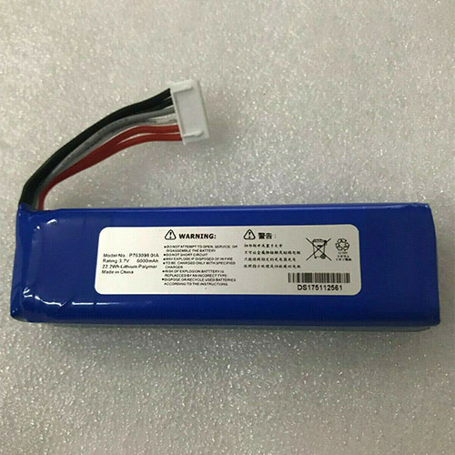 P76309801A battery