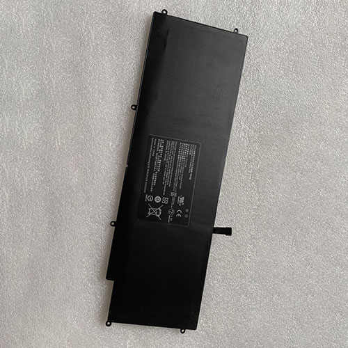 RC30-0196 battery