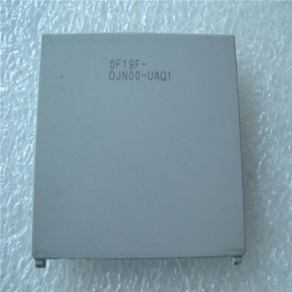 F19 battery