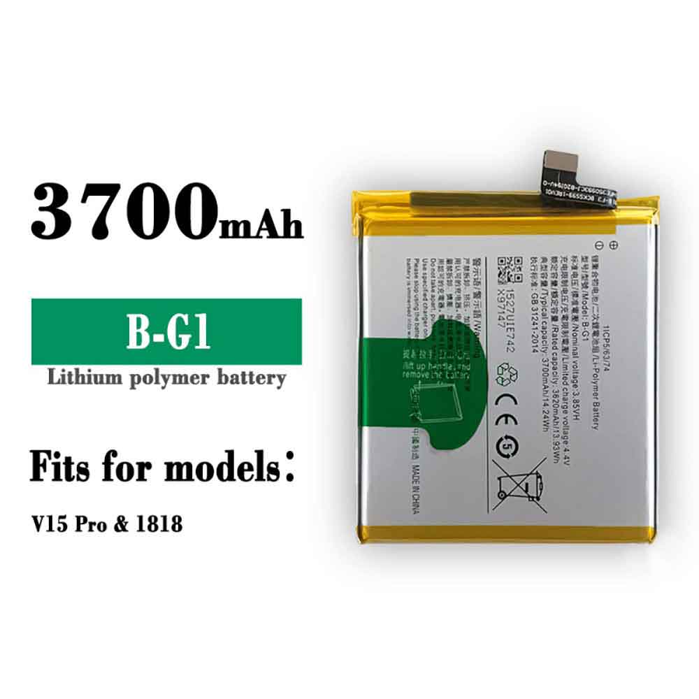 B-G1 battery